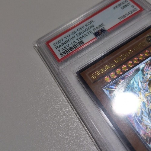 Drago arcobaleno psa9 - arcobaleno,
